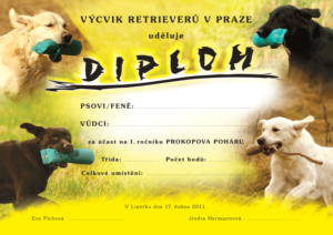 DIPLOM-2011-Press