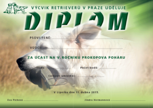 DIPLOM-POHAR-2015-65x-PRESS