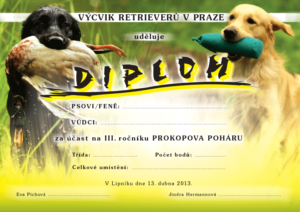 DIPLOM-PROKOPUV-POHAR-2013-PRESS