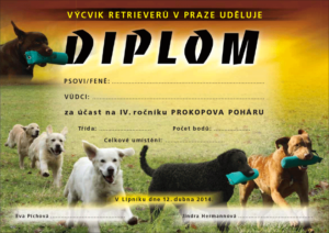 DIPLOM-PROKOPUV-POHAR-2014