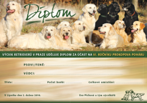 DIPLOM-PROKOPUV-POHAR-2016-upr-PRESS-70x